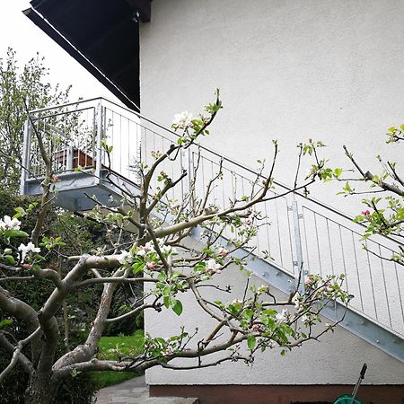 Angi'S Apartment Sankt Lorenzen ob Murau Δωμάτιο φωτογραφία